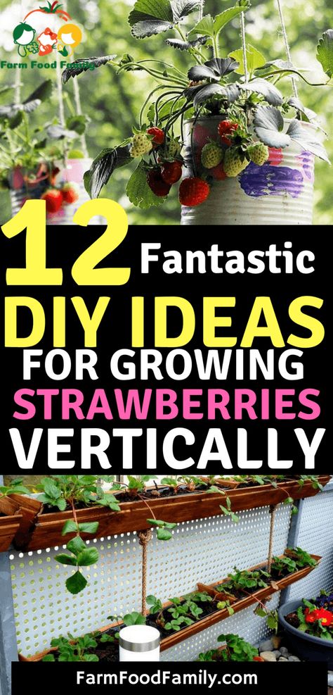 12 DIY Ways To Grow A Vertical Strawberry Garden - FarmFoodFamily Growing Strawberries Vertically, Growing Fruits And Vegetables, Vertical Vegetable Garden, Strawberry Garden, Vertical Herb Garden, Growing Strawberries, Survival Gardening, Strawberry Plants, Growing Fruit