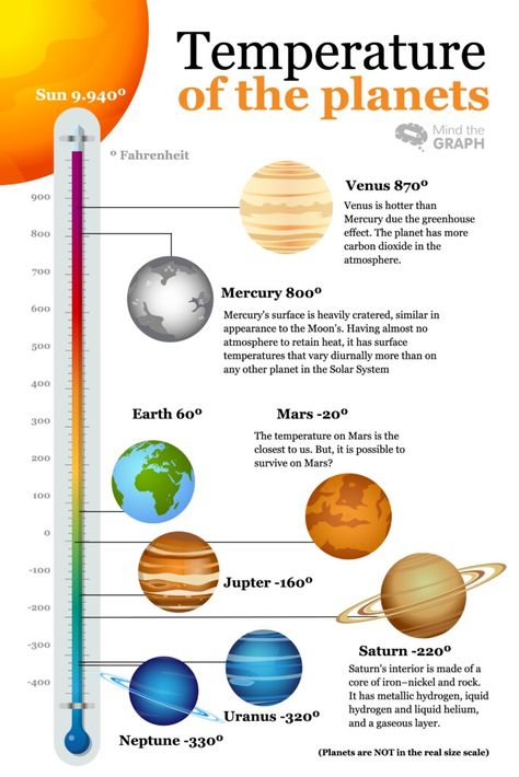 Solar System Size, Solar System Facts, Solar System Projects For Kids, Solar System Worksheets, Solar System Activities, Solar System For Kids, Solar System Projects, Astronomy Facts, Sistem Solar