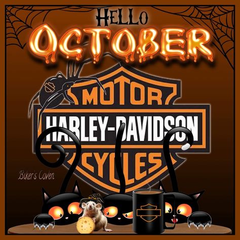 Good Morning Harley Davidson, Holiday Memes, Welcome October, Harley Davidson Quotes, Australian Culture, Harley Davidson Images, Harley Davidson Pictures, Harley Davidson Artwork, Month Signs