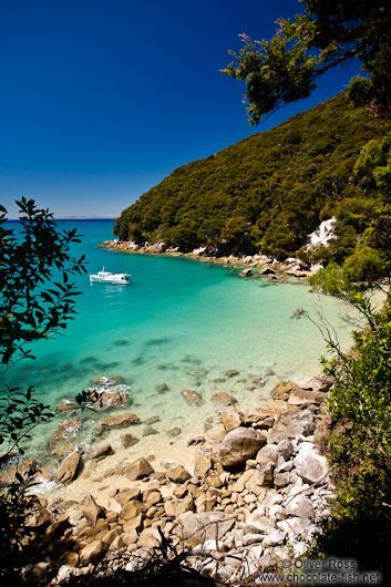 Abel Tasman National Park, Dream Holidays, Abel Tasman, Spring Break Destinations, New Zealand Landscape, Holiday Travel Destinations, Hidden Places, Summer Destinations, Beauty Bay