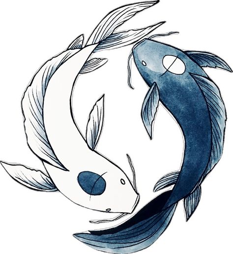 "Tui and La - Yin & Yang Koi" Sticker by nicoledesigns | Redbubble Avatar Yin Yang Fish, Yin Yang Avatar, Avatar Tui And La, Koi Sticker, Koi Yin Yang, Koi Fish Yin Yang, Tui And La, Fish Yin Yang, Yin Yang Dragon