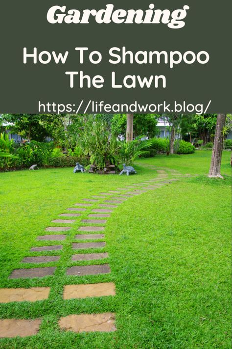 How To Shampoo The Lawn Lawn Substitute, French Drain System, Killing Weeds, Citrus Soap, Shampoo Recipe, French Drain, Surface Tension, Healthy Lawn, Baby Shampoo