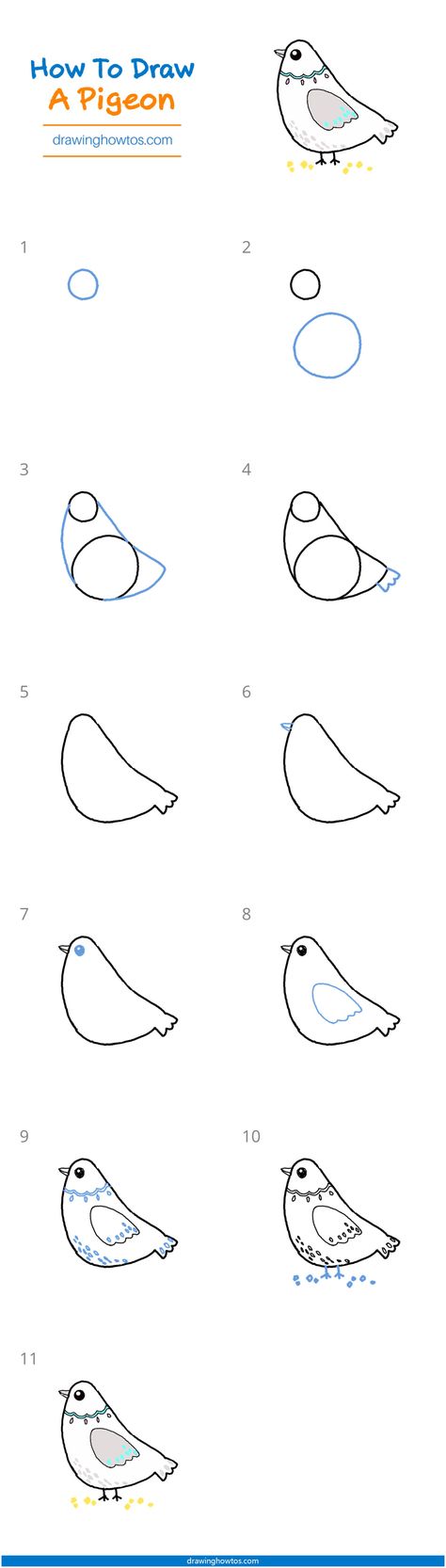 Pigeon Doodle Easy, How To Draw A Pigeon Step By Step, Easy Drawing Guides, Tenancy Agreement, Drawing Guides, Drawing Ideas List, How To Draw Steps, Draw Easy, Common Birds