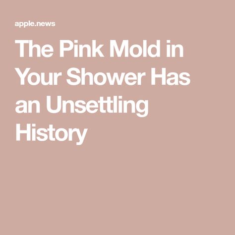 The Pink Mold in Your Shower Has an Unsettling History Mold In Shower, Pink Mold, Mold In Bathroom, Shower Bathroom, Bathroom Cleaner, In Bathroom, Apple News, Bathroom Shower, The Pink