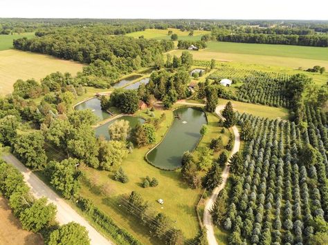 Trout Pond, Heber Utah, Irrigation Methods, Trout Farm, Farm Pond, Fish Farm, Farm Plans, Farm Layout, Backyard Vegetable Gardens