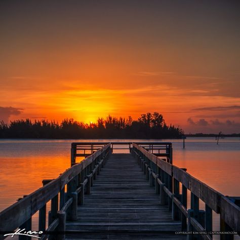 Riverview Park Sebastian Sunrise Port St Lucie Florida, Riverview Park, Riverview Florida, Home Real Estate, Florida Photography, Treasure Coast, Moving To Florida, Indian River, Florida Living