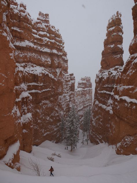 Bryce Canyon National Park Winter, Bryce Canyon Winter, Bryce Core, Zion National Park Winter, Utah Winter, Zion Park, Collage Pieces, Winter Hike, National Parks Photography