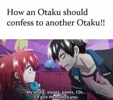 Blood Lad, Otaku Problems, Otaku Issues, Anime Fandom, Memes Anime, Anime Jokes, Anime Memes Funny, I Love Anime, Anime Life