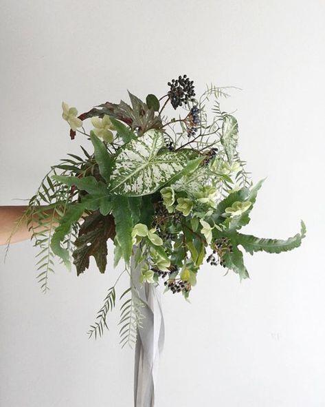 Foliage Bouquet, Elegant Bridal Bouquets, Greenery Wedding Bouquet, Greenery Bouquet, Green Bouquet, Bouquet Design, Botanical Wedding, Wedding Arrangements, Arte Floral