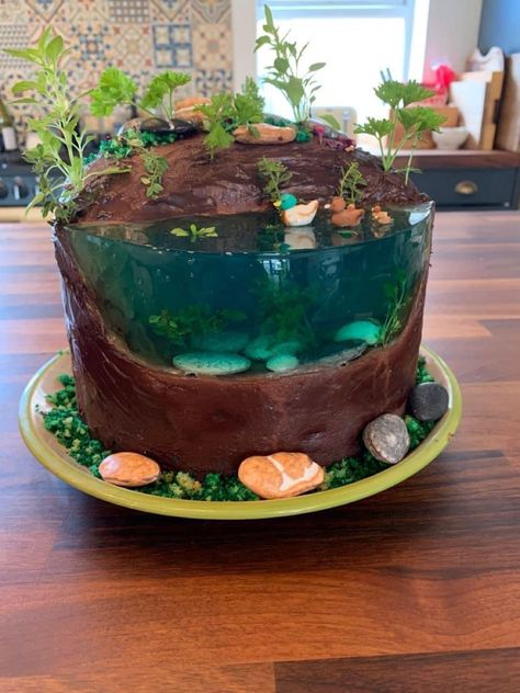 Jelly Pond Cake, Duck Pond Cake, Water Cake Ideas, Pond Cake Ideas, Jelly Island Cake, Pretty Cake Decorating, Cool Cakes, Water Cake, Lake Cake