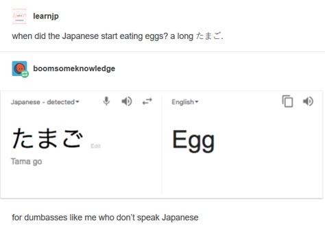 Language Memes Funny, Japanese Funny, Bad Jokes, Funny Tumblr Posts, Funny Tumblr, Japanese Language, What’s Going On, Made Me Laugh, Dad Jokes