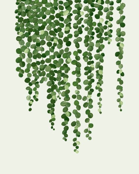 Home Decor Boho, Botanical Art, Vines, Iphone, Green, Home Decor, Art, Home Décor