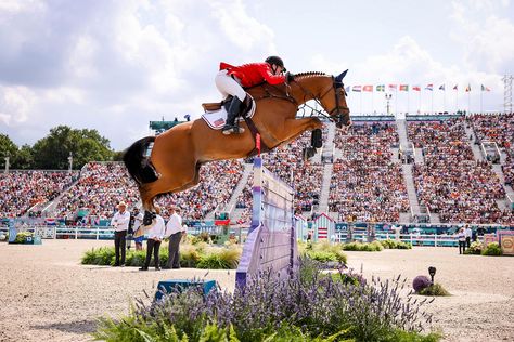 11 days of equestrian excitement ✔️  Watching the world’s best horses and riders in eventing, show jumping, and dressage during the Olympics was as thrilling as it gets. We hope you had a blast following along with our coverage of these talented, brave equine and human athletes.  What was your favorite moment?  For all of our Olympic equestrian articles ⬇️  📷️: FEI/Benjamin Clark Olympic Show Jumping, Equestrian The Game, Olympic Equestrian, Hunter Jumper Horses, Horseback Riding Lessons, Horse Movies, Horse Arena, Show Jumping Horses, Equestrian Events