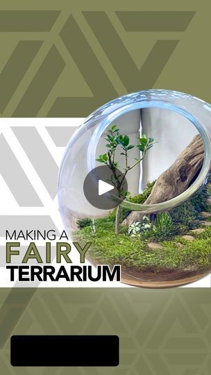 Diy Fairy Terrarium, Fairy Terrarium Ideas, Terrarium Ideas Diy, Clay Critters, Fairy Terrarium, Fish Tank Terrarium, Diy Terrarium, Mini Gardens, Cactus Succulents