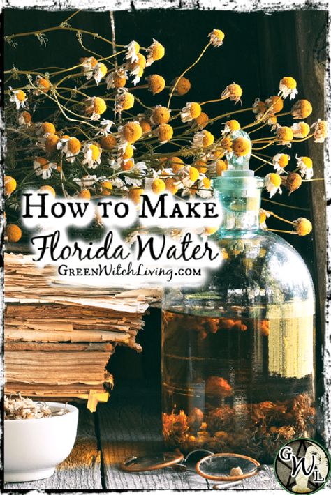 Florida Water Diy, How To Make Florida Water, Diy Florida Water Recipe, Florida Water Recipe, Green Witch Home, Herb Tips, Diy Witch, Bene Gesserit, Spiritual Community