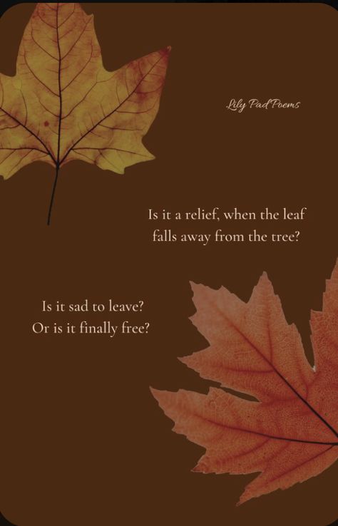 Autumn To Winter Quotes, Quotes About Leaves Falling, Poems Title Ideas, Autumn Leaves Poem, Poetry About Seasons, Autumn Poems Beautiful, Poetry About Autumn, Autumn Poems Poetry, Fall Poems Beautiful