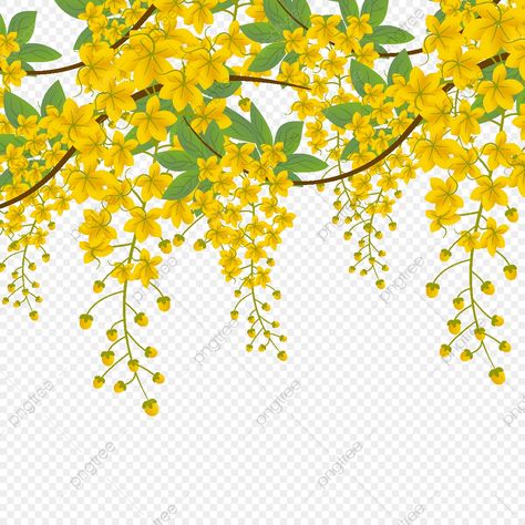 Kanikonna Flower, Vishu Images, Cassia Fistula, Simple Wall Paintings, Caricature Wedding, Wedding Invitation Background, Iphone Wallpaper For Guys, Frame Border Design, Wedding Album Design