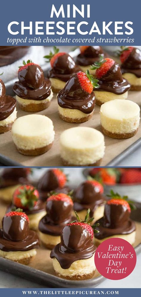 mini cheesecakes topped with chocolate covered strawberries Chocolate Cheesecake Bites, Strawberry Cheesecakes, Mini Strawberry Cheesecake, Chocolate Strawberry Cheesecake, Mini Cheesecake Bites, Mini Cheesecakes Easy, Strawberry Cheesecake Bites, Romantic Desserts, Strawberry Treats