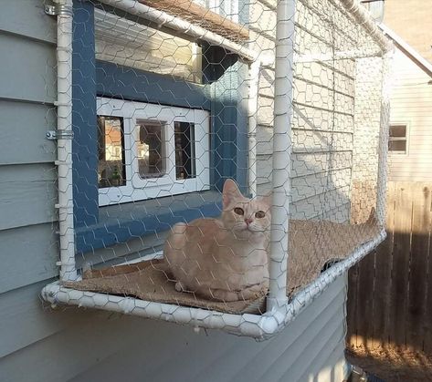 Diy Catios For Cats Window, Catios For Cats Window, Window Catio, Cat Catio, Cat Enclosures, Cat Window Perch, Cat Patio, Outdoor Cat Enclosure, Cat Run