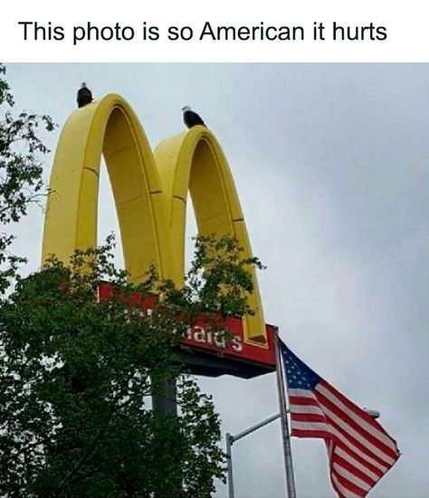 This Is America: 50 Memes That Sum Up Life In The United States Stereotypes Funny, Cant Stop Laughing, America Memes, Mom Jokes, Memes Humor, Can't Stop Laughing, Funny Couples, Funny Animal Memes, Funny Posts