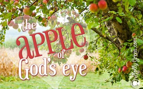 Two delicious apple recipes and a reminder that we are the apple of God’s eye as we prepare for Thanksgiving and remember His blessings. Eye Lesson, Delicious Apple Recipes, God's Eye Craft, Devotions For Kids, Apple Lessons, Kids Church Lessons, Bible Object Lessons, Homestead Kitchen, Children's Church Crafts