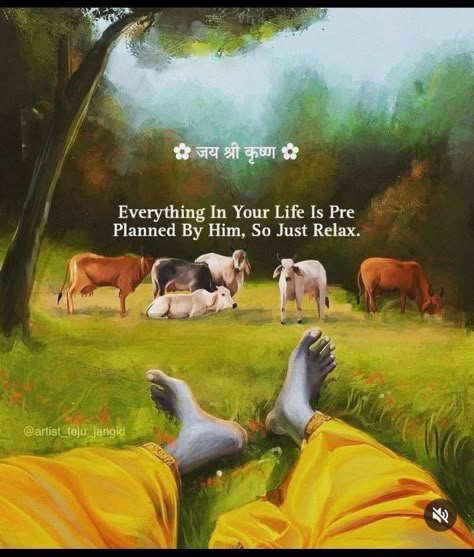 Photos Of Lord Krishna, Geeta Quotes, Sanskrit Quotes, Krishna Mantra, Radha Krishna Quotes, Gita Quotes, Krishna Book, Krishna Songs, Jai Shree Krishna