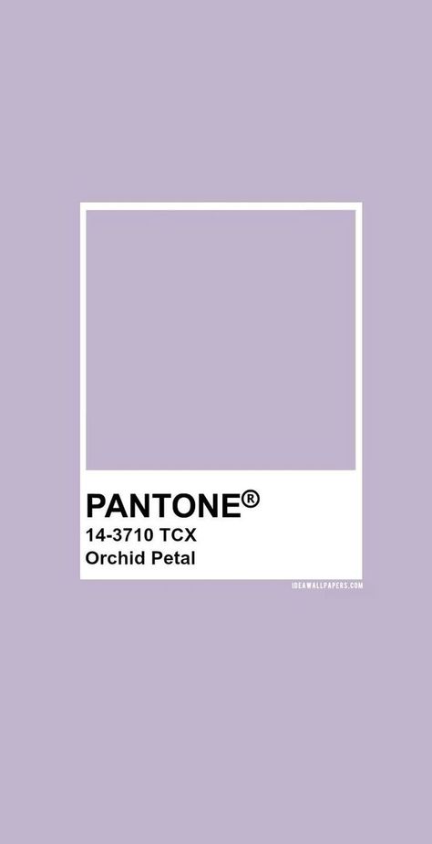 Color Palette Pantone, Geometric Wallpaper Iphone, Color Inspiration Boards, Palettes Color, Pantone Color Chart, Pantone Swatches, Pantone Palette, Pantone Colour Palettes, Inspiration Images