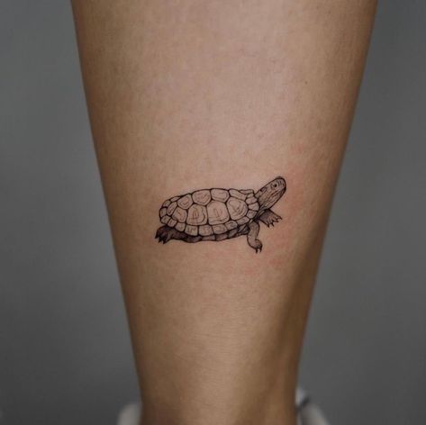 Tortious Tattoo, Freshwater Turtle Tattoo, Pond Turtle Tattoo, Earth Turtle Tattoo, Red Eared Slider Turtle Tattoo, Cute Tortoise Tattoo, Small Tortoise Tattoo, Turtles All The Way Down Tattoo, Turtle Tattoo Realistic