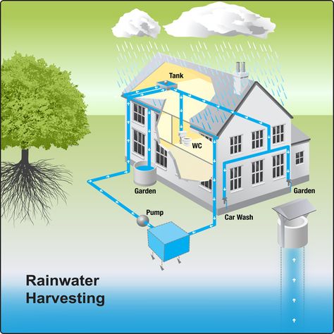 Rain Water Collection Diy, Rain Harvesting, Water From Air, Rainwater Collection, Rainwater Harvesting System, Water Scarcity, Rainwater Harvesting, Water Collection, Rain Barrel