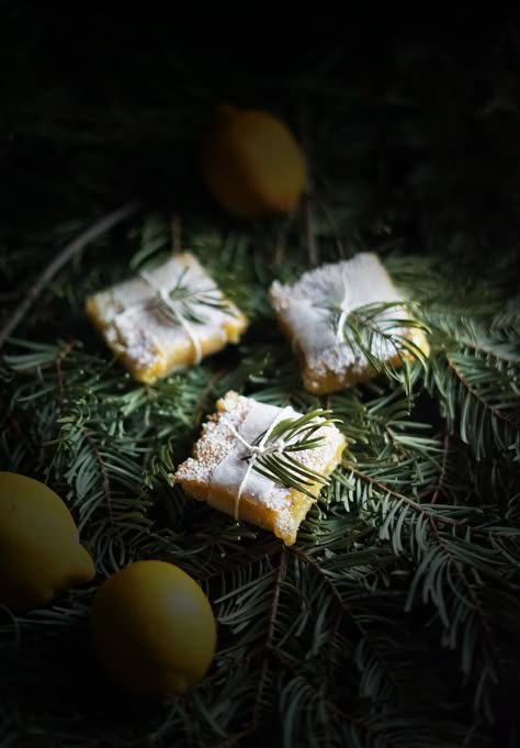 Going Tree Tasting: Conifer Lemon Bars — The Wondersmith Fairy Food, Foraging Recipes, Foraged Food, Winter Treats, Fantasy Food, Lemon Bars, Wild Food, Kitchen Witch, Winter Solstice