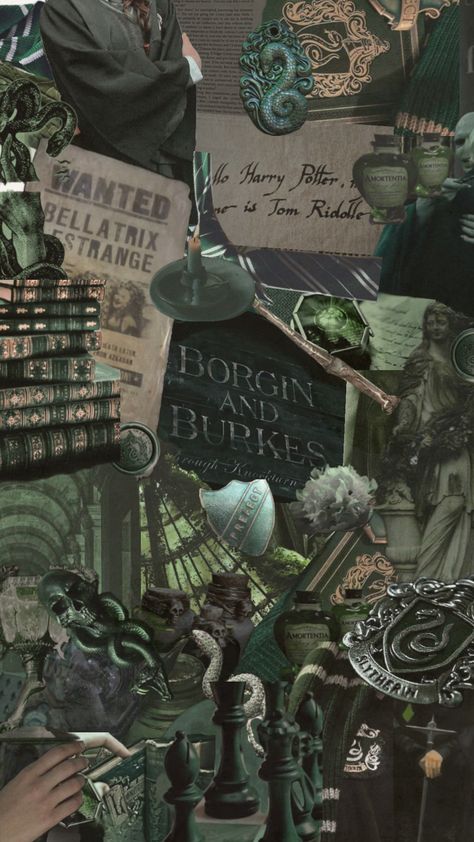 #slytherin #harrypotter #hogwarts #slytherinharrypotter #slytherinhogwarts #m13 #harrypottercollage #collage #fyp Dark Academia Aesthetic Green, Slytherin Dark Academia, Dark Green Academia, Slytherin Wallpaper, Green Academia, Slytherin Harry Potter, Hogwarts Aesthetic, Slytherin Aesthetic, Harry Potter Room