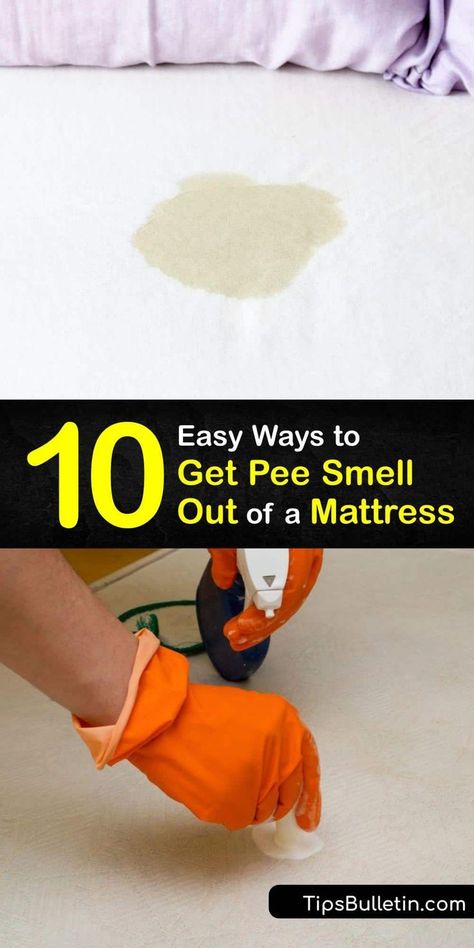 Discover ways to remove urine smell from a mattress with simple home remedies. It’s easy to remove a pee smell and stain with an enzymatic cleaner, white vinegar, baking soda, hydrogen peroxide, and other cleaners and keep your mattress smelling fresh. #remove #pee #smell #mattress Cleaning Dog Pee, Remove Urine Smell, Baking Soda Hydrogen Peroxide, Pee Stains, Smell Remover, Pee Smell, Diy Household Cleaners, Mattress Stains, Urine Odor