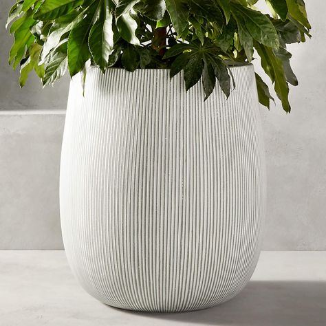 Pod Outdoor Planter XXL + Reviews | CB2 Minimalist Mediterranean, Wire Coffee Table, Outside Planters, Modern Planters Outdoor, Planters Outdoor, Stone Planters, Indoor Outdoor Planter, Work Project, Front Patio