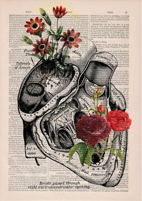 ok, I get that it may be a little weird, but I definitely want it Human Heart Anatomy, Dictionary Book, The Human Heart, Heart Anatomy, Retro Kunst, Heart Poster, Scandinavian Wall Art, Medical Art, Love Wall Art