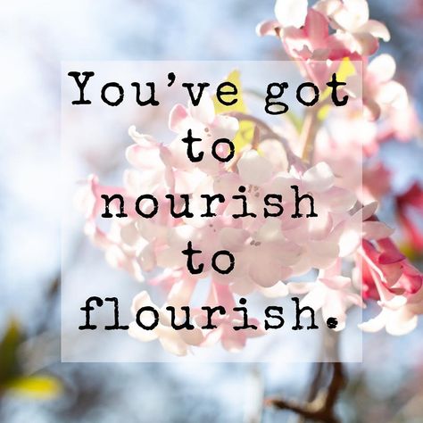 You've got to nourish to flourish. | Quote Nourish To Flourish Quote, Nourish To Flourish, Spring Unsprung, Focus Word, Health Tonic, Herbal Tonic, Glowing Radiant Skin, Red Dates, Herbal Products