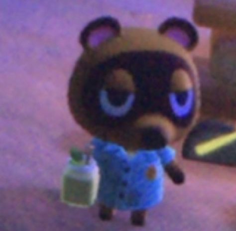 Animal Crossing Playlist Cover, Animal Crossing Ship Fanart, Animal Crossing Pfp Aesthetic, Pfp Animal Crossing, Animal Crossing Matching Pfp, Animal Crossing Pfp, Nintendo Pfp, Animal Crossing Aesthetic, Toro Inoue