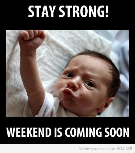 Stay strong 9gaggers Weekend Is Coming, Happy Weekend Quotes, Weekend Quotes, Weekend Humor, Baby Memes, E Card, Teacher Humor, Stay Strong, Happy Weekend