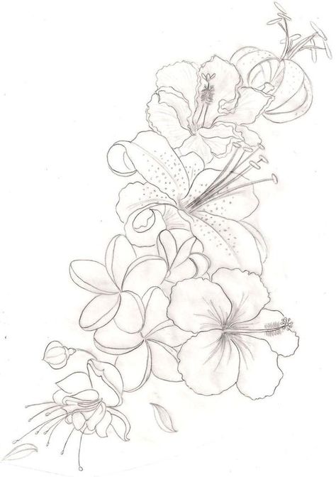 This just gave me inspirati - http://goo.gl/waWDCL Hawaiian Flower Drawing, Tropical Flower Tattoos, Orchid Flower Tattoos, Drawing Of Flowers, Hibiscus Flower Tattoos, Hibiscus Tattoo, Orchid Tattoo, Flower Tattoo Drawings, Hawaiian Tattoo