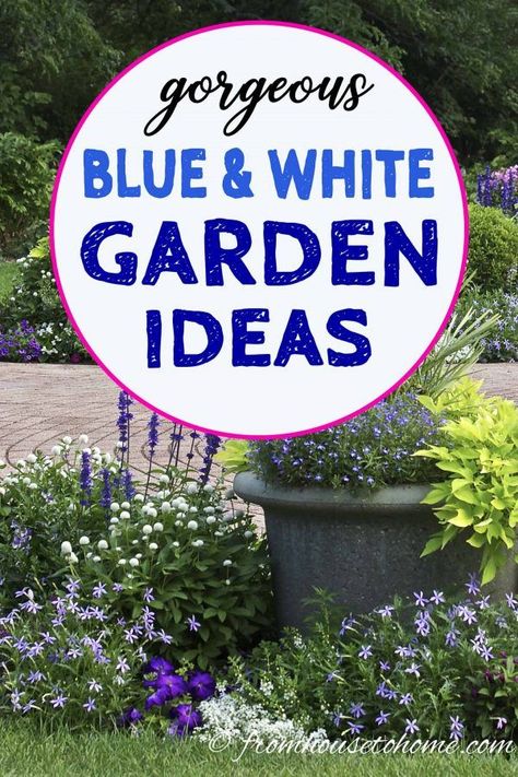 These blue and white garden design ideas will provide lots of inspiration for updating your yard with this pretty flower garden color scheme. #fromhousetohome #gardening #gardenideas #blueandwhitegarden #gardendesign Blue And White Gardens, White Garden Ideas, White Garden Design, Blue And White Garden, Blue And White Ginger Jars, Backyard Decorating, Gardening Tricks, Summer Outdoor Decor, Clematis Vine