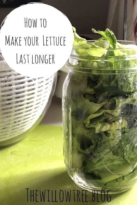 Storing Lettuce, Apartment Meals, Expiration Dates On Food, Acreage Living, Soy Free Dairy Free, Nesting With Grace, Canning Food Preservation, Vegetable Storage, Shredded Lettuce