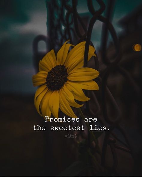 Promises Are The Sweetest Lies, Faded Quotes, Bingo Quotes, Mental Health Articles, Lies Quotes, Emotional Painting, Narcissism Quotes, Deep Talks, Inspirational Quotes Posters