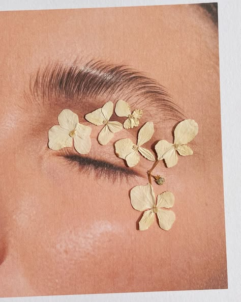 Jasmine Dowling’s Instagram post: “Creating eye looks on the print out version of me is a lot easier” Minimalist Feminine Style, Eye Looks, Jewelry Photoshoot, Print Out, Aesthetic Beauty, Photo Projects, Jewelry Photography, Image Photography, Garden Styles