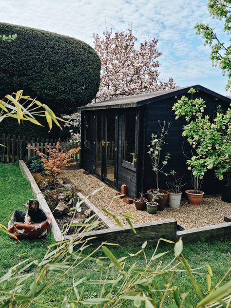 A black cabin surrounded by plants in a garden Black Garden Cabin, Black Garden Shed, Black Shed, Cabin Garden, Garden Huts, Garden Cabin, Garden Workshop, Shed Cabin, Garden Cabins