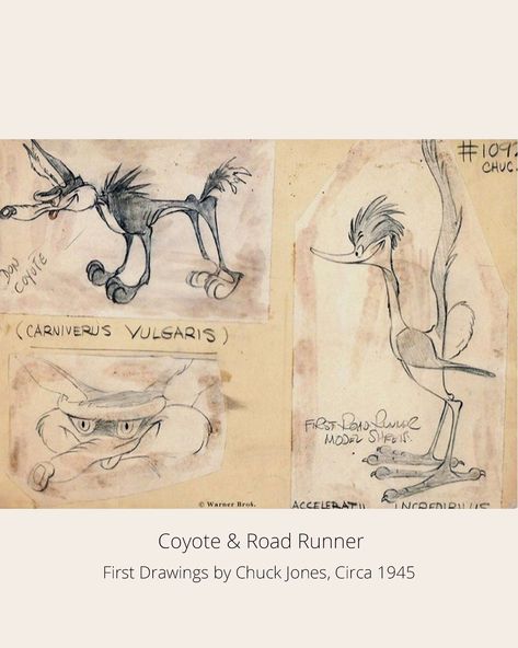 #StayCurious We’ve found the first sketches of this mythical childhood story. Do you remember them? #Coyote #RoadRunner Chuck Jones Drawings, Happy Birthday Chuck, Chuck Jones Art, The Road Runner, Wile E Coyote, Chuck Jones, Elijah Wood, Saturday Morning Cartoons, Louis Armstrong