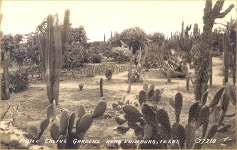 Edinburg, Texas Vintage Images. Edinburg Texas, Travel History, Rio Grande Valley, Loving Texas, Texas History, South Texas, Old Postcards, Borderlands, Rio Grande