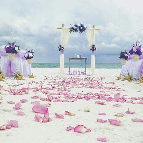 Peach Beach Wedding, Beach Wedding Colors Schemes, Beach Wedding Purple, Gold Beach Wedding, Beach Wedding Pink, Beach Wedding Aisles, Beach Wedding Arch, Sunset Beach Weddings, Wedding In Florida