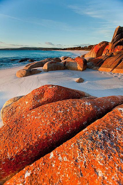 bay of fires, tasmania Scenery Beach, Phuket Island, Tasmania Australia, Adventure Vacation, Nature Scenery, Hotel Resort, Palau, Vanuatu, Samoa