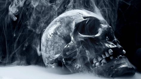 10 New Skull Wallpaper Hd 1920X1080 FULL HD 1080p For PC Desktop House Of Pain, 2560x1440 Wallpaper, Skull Pictures, Skull Illustration, Dark Pictures, Skull Wallpaper, Human Skull, Halloween Stuff, A Skull