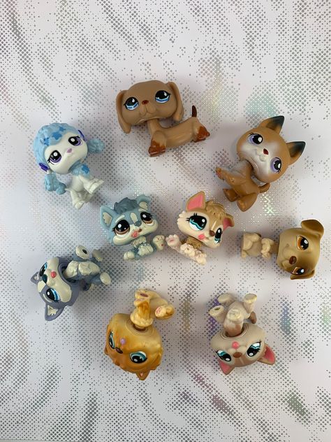 Littlest Pet Shop - You Choose Dogs - Hasbro Authentic Discontinued Retired LPS - Husky, Poodle, Collie, Dachshund and more! 1. LPS 117 Tan Chow, blue/green eyes, red magnet 2. LPS 1684 Grey Husky, blue eyes, no magnet 3. LPS 1012 Tan Husky, blue eyes, no magnet 4. LPS 1683 Grey Husky Puppy, brown eyes, no magnet 5. LPS 1013 Tan Husky Puppy, blue eyes, no magnet 6. LPS 1965 Blue French Poodle, purple eyes, no magnet 7. LPS 1211 Tan Dachshund, blue teardrop eyes from the sportiest collection, no Husky Puppy Blue Eyes, Tan Husky, Lps Husky, Grey Husky, Husky Poodle, Lps Dachshund, Blue Husky, Tan Dachshund, Lps Popular