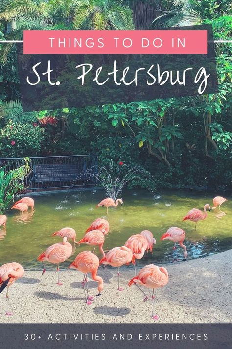 If you are looking for fun things to do in St. Pete Beach, Florida, check out this guide! It is full of ideas for any budget or interest #stpete #florida #thingstodoinflorida #stpeteflorida #stpetebeach #stpetersburg #stpetersburgfl #floridavacation #floridatravel #floridatrip Florida Pictures, Florida Travel Guide, Panama City Beach Florida, Travel Girl, St Pete Beach, St Petersburg Fl, St Petersburg Florida, Panama City Beach, Florida Vacation